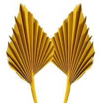 Product Palmspear Yellow 65 pcs