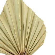 Product Palmspear Natural 100 pcs