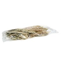 Product Palmspear Natural 100 pcs