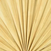 Product Palmspear Sun Natural Palm Leaf Dried Natural Decoration 30 pcs