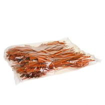 Product Palmspear Orange 65 pcs