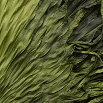 Product Palm fronds dried leaves decoration Saribus green 45cm 5 pcs