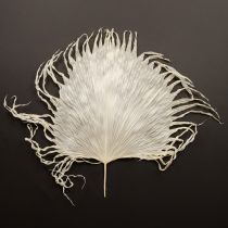 Product Palm fronds dried decorative leaves bleached 45cm 5 pcs