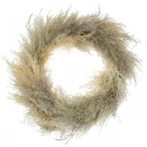 Product Pampas grass dried door wreath dried flower wreath Ø31cm