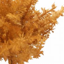 Product Artificial pampas grass Orange dry grass 35cm 4pcs