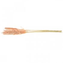 Product Pink Pampas Grass Dried Flowers Natural Decoration 65-75cm 6 pcs