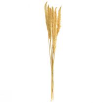 Product Pampas grass dried flower decorative branches for home and table decoration