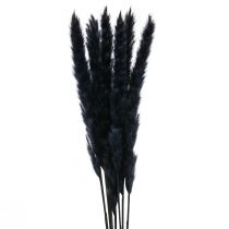 Pampas grass black dried dry decoration L72cm 6pcs