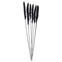Product Black Pampas Grass Decoration Dried 72cm 6 Pieces