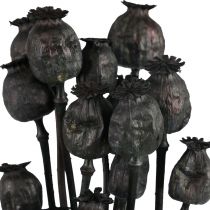 Dried flowers poppy capsules dried Black Papaver 80g