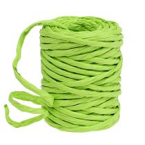 Paper cord 6mm 23m apple green