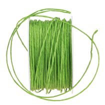 Product Paper cord wire wrapped Ø2mm 100m apple green