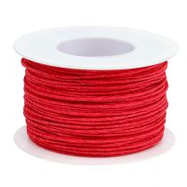 Product Paper cord wire wrapped Ø2mm 100m red