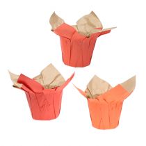 Paper pot planter orange/red Ø8cm 12pcs
