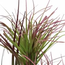 Product Artificial sedge grass in a pot Green, red purple 45cm