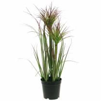 Product Artificial sedge grass in a pot Green, red purple 45cm