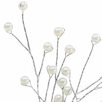 Product Pearl branch champagne L18cm 2pcs