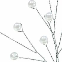 Product Pearl branch white L18cm 2pcs