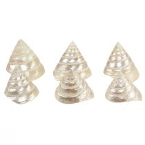 Product Mother of pearl top snail sea snail decoration 5–6cm 6pcs