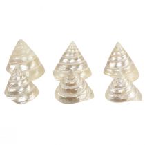 Mother of pearl top snail sea snail decoration 5–6cm 6pcs