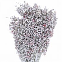 Product Snowed pepper berries, winter decoration, dried flowers, Advent, pink pepper washed white 170g