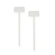 Product Plant label for changing 32cm 10pcs
