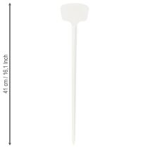 Product Plant label 36cm 10pcs.