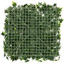 Product Artificial Ivy Mat 60x60 cm Green for Wall Decoration