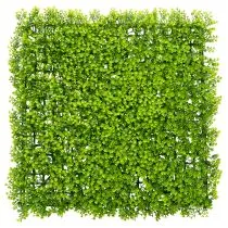 Product Artificial Boxwood Panel 55x55 cm Green for Decorative Wall Design