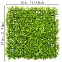 Product Artificial Boxwood Panel 55x55 cm Green for Decorative Wall Design