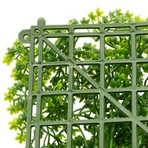 Product Artificial Boxwood Panel 55x55 cm Green for Decorative Wall Design