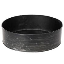 Product Planter, decorative baking pan, springform pan for planting, metal decoration Ø24cm H7.5cm