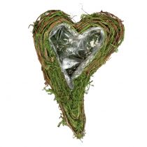 Plant heart moss and vine 30cm x 20cm