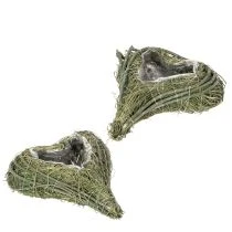 Product Palm Heart Planter with Plastic Lining 22cm Green Set of 2