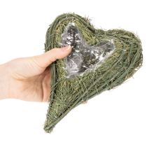 Product Palm Heart Planter with Plastic Lining 22cm Green Set of 2