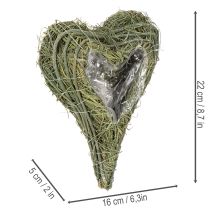 Product Palm Heart Planter with Plastic Lining 22cm Green Set of 2