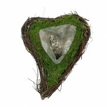 Plant heart vine, moss 22cm x 28cm H8cm