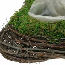Plant heart vine, moss 26×36cm H9cm