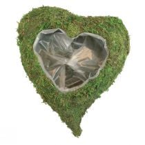 Plant heart moss green plant bowl heart 26×30×8cm