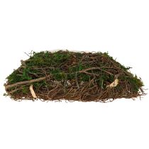 Product Planter with natural vines & moss Cushion 20×20×6.5cm