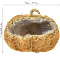 Product Plant basket pumpkin autumn decoration orange Ø22cm H17cm