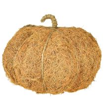 Product Plant basket pumpkin autumn decoration orange Ø22cm H17cm