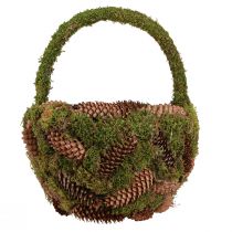 Product Rustic planting basket with moss and pine cones - decorative basket with handle Ø32cm H42cm - versatile garden and home decoration