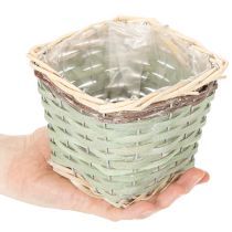 Product ProductName  
Square Wooden Planter Set with Inner Plastic Lining – 4 Pieces – 14cm  

/ProductName  

ProductDescription  

<h2>Square Wooden Planters with Plastic Lining – Ideal for Small Indoor Plants</h2>  

<p>Bring a touch of rustic charm into your 