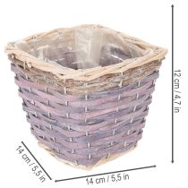 Product ProductName  
Square Wooden Planter Set with Inner Plastic Lining – 4 Pieces – 14cm  

/ProductName  

ProductDescription  

<h2>Square Wooden Planters with Plastic Lining – Ideal for Small Indoor Plants</h2>  

<p>Bring a touch of rustic charm into your 
