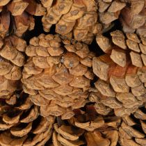 Product Round Pinecone Bowl for Planting, 30cm, Natural Brown