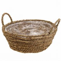 Product Plant basket seagrass basket with handles table decoration Ø30cm H11cm