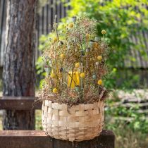 Product Plant basket planter decorative basket nature Ø18/23/29cm set of 3