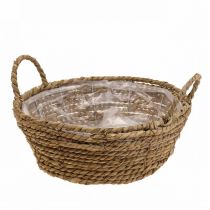 Plant basket round seagrass basket with handles decorative basket Ø25cm H9cm