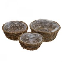 Product Plant basket flower pot rustic vines Ø20/25/28cm set of 3